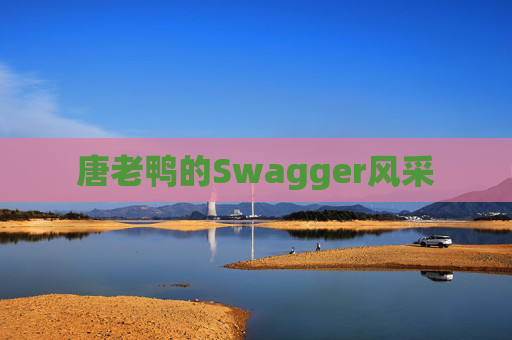 唐老鸭的Swagger风采